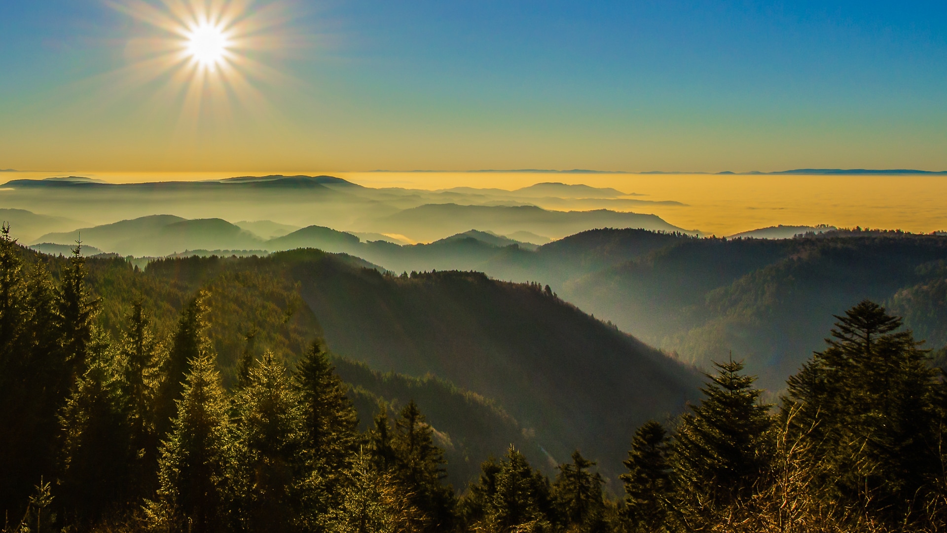 Sonnenaufgang über dem Schwarzwald mit dicht bewaldeten Hügeln im Vordergrund und goldgelbem Nebel in den Tälern. Die Sonne strahlt am wolkenlosen Himmel und taucht die Landschaft in ein warmes Licht.