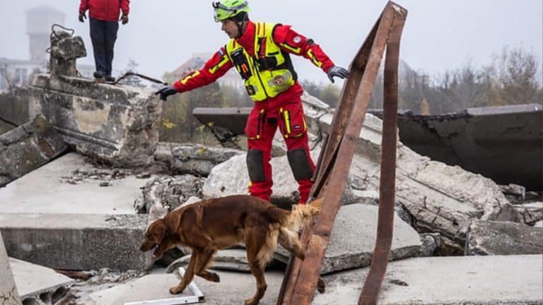 Erdbeben der Stärke 6,9 erschüttert Mannheim – 1.000 Retter im Einsatz! EU-Katastrophenschutz trainiert den Ernstfall