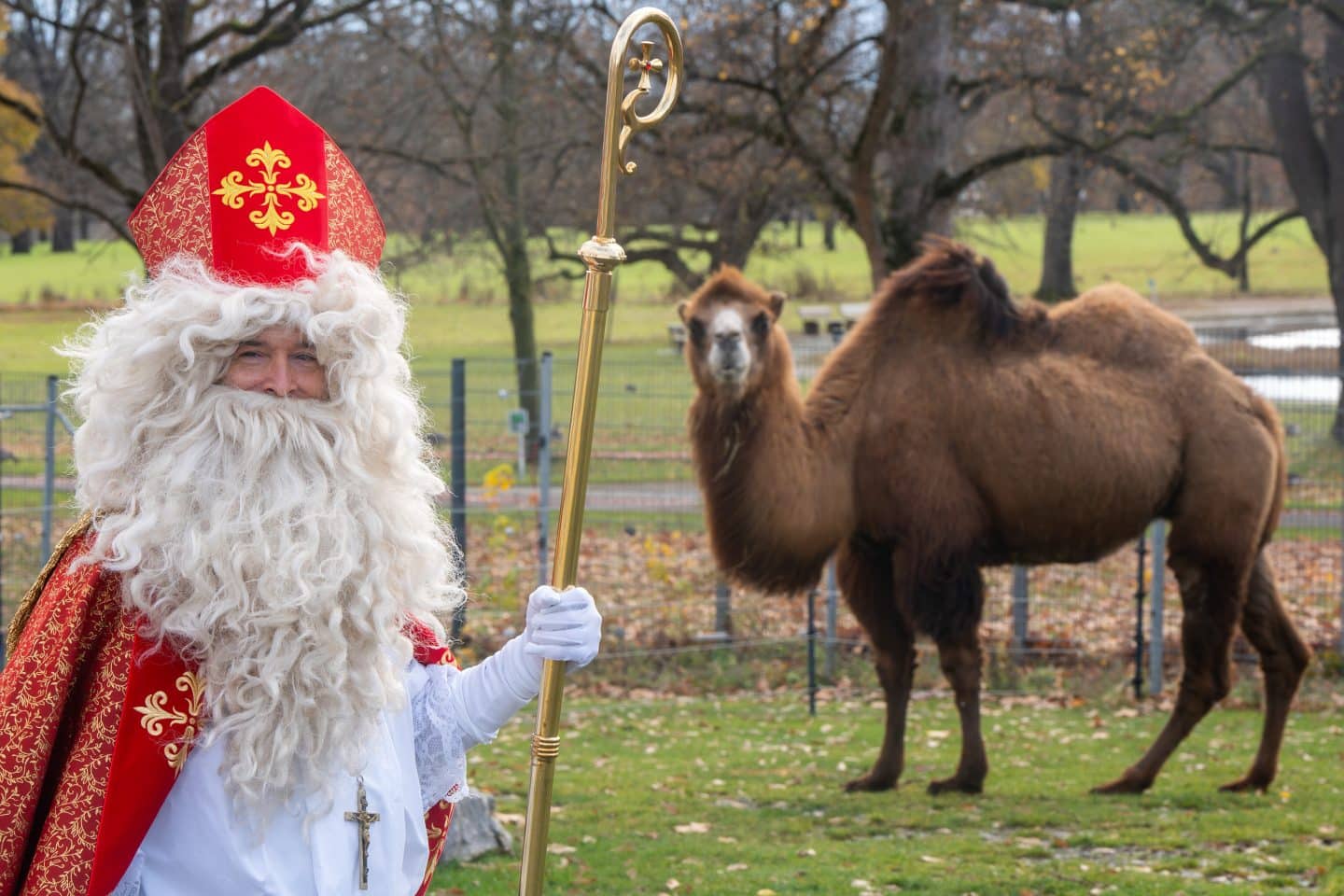 Ausflugstipp/ Weihnachtszauber in der Wilhelma – Der Nikolaus kommt!