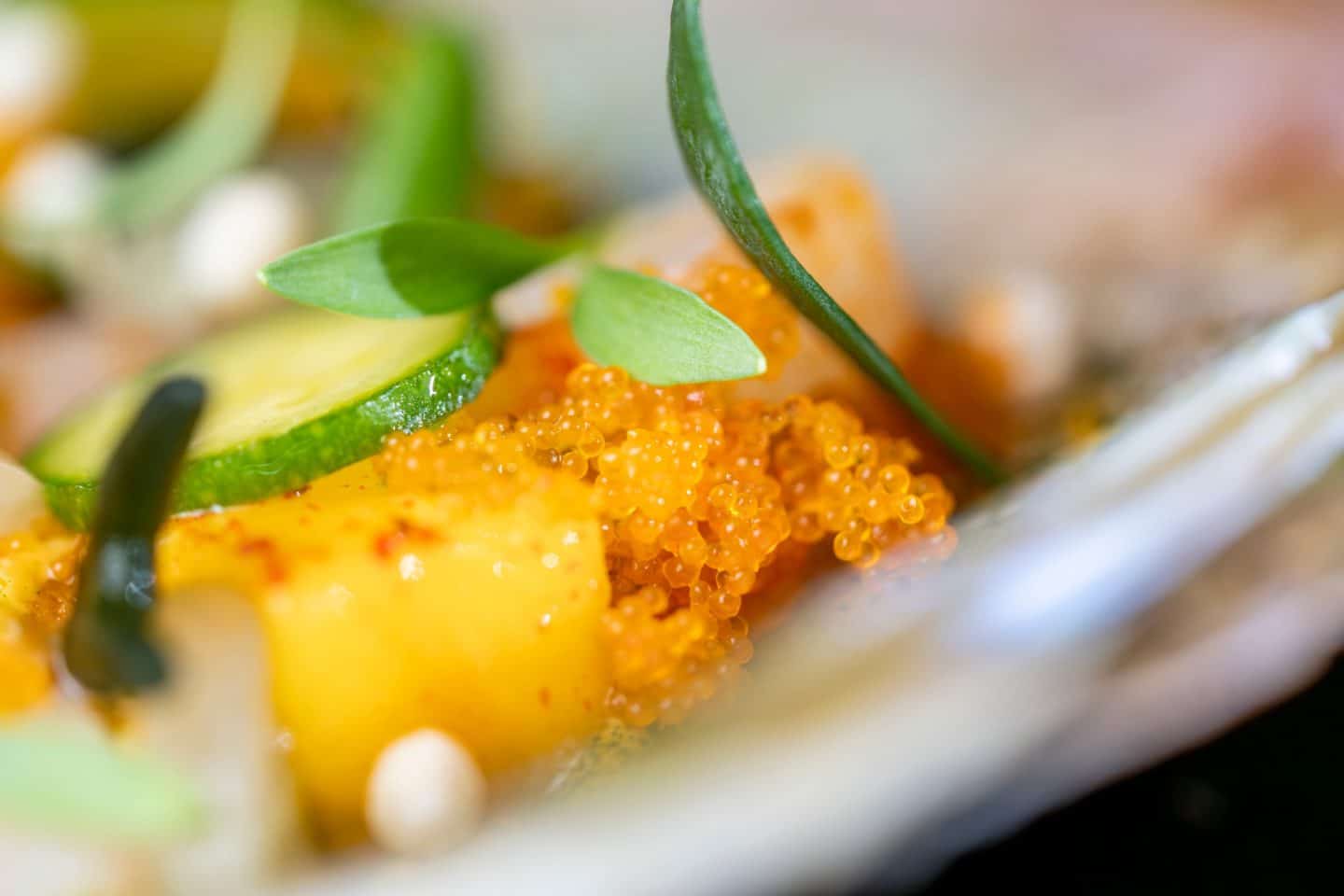 Rust: Eatrenalin gewinnt Travellers’ Choice Award – Zukunft des Fine Dining? PM24 RabeaSchif3