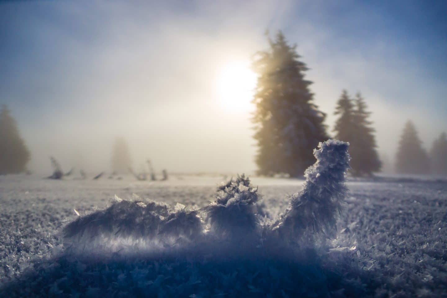 Weihnachtswetter im Ländle: Frostige Nächte, sonnige Tage?