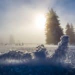 Verschneite Winterlandschaft auf dem Feldberg bei Sonnenaufgang mit vereisten Bodenstrukturen im Vordergrund und nebelverhangenen Tannen im Hintergrund.