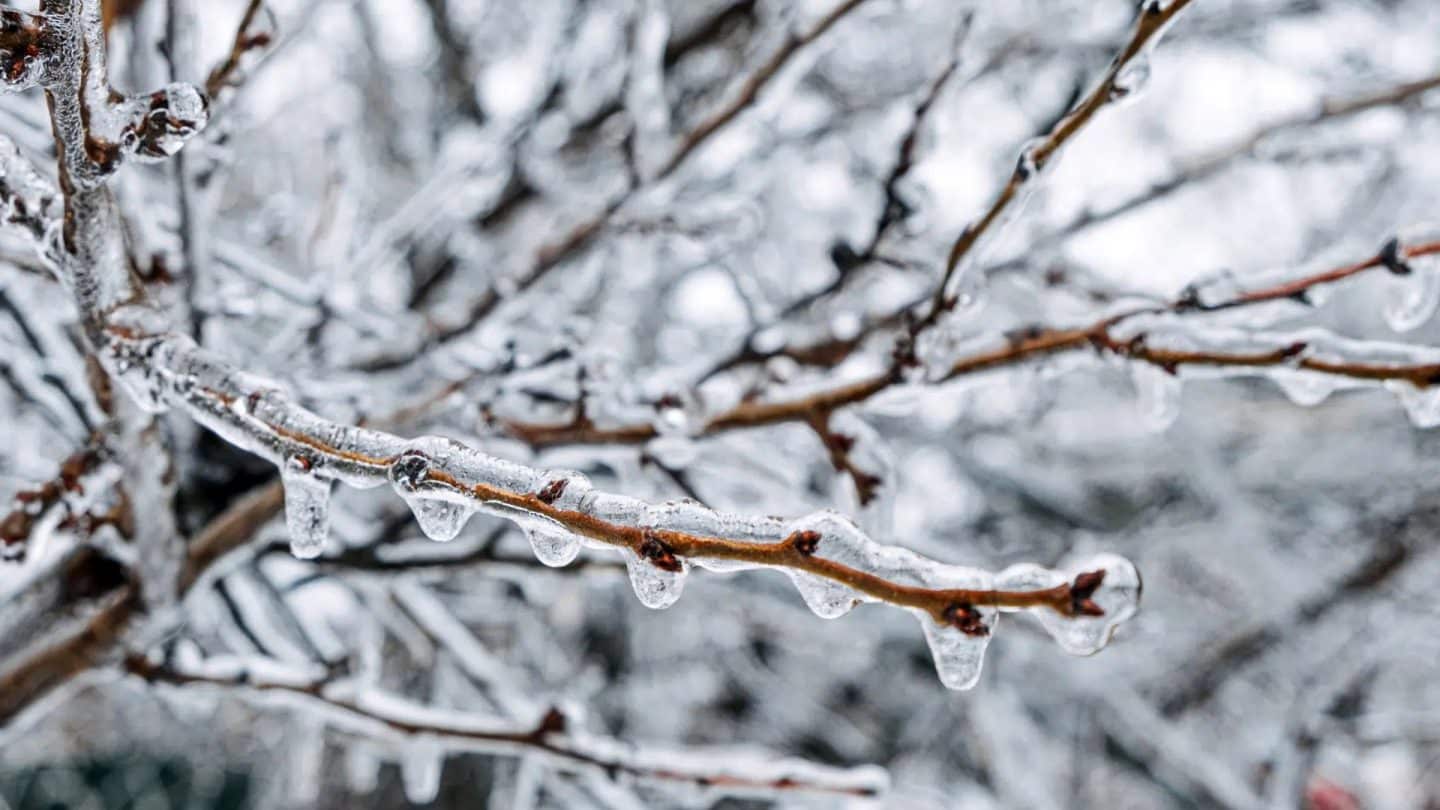 Wetter in Baden-Württemberg: Tiefdruck sorgt für Wetterwechsel