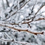 Nahaufnahme von mit Eis überzogenen Baumästen, die Eiszapfen tragen, in einer winterlichen Landschaft mit unscharfem Hintergrund.