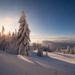 Wettervorhersage mit Schnee: Wintereinbruch in Deutschland – Schnee, sinkende Temperaturen und stürmisches Wetter