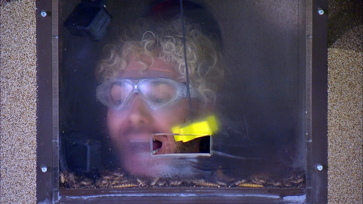 Sam Dylan während der Dschungelprüfung 'Murwillumbah Jones – Jäger der verlorenen Sterne'. Sein Kopf steckt in einer Glasbox, während er durch eine kleine Öffnung versucht, mit dem Mund einen gelben Stern zu greifen. Er trägt eine Schutzbrille, und sein Gesicht ist teilweise von Feuchtigkeit und Schmutz bedeckt. Am Boden der Box krabbeln zahlreiche Insekten und Würmer. Die Box ist von einer Struktur mit grober Textur umgeben, während Sam konzentriert versucht, die Aufgabe zu meistern.