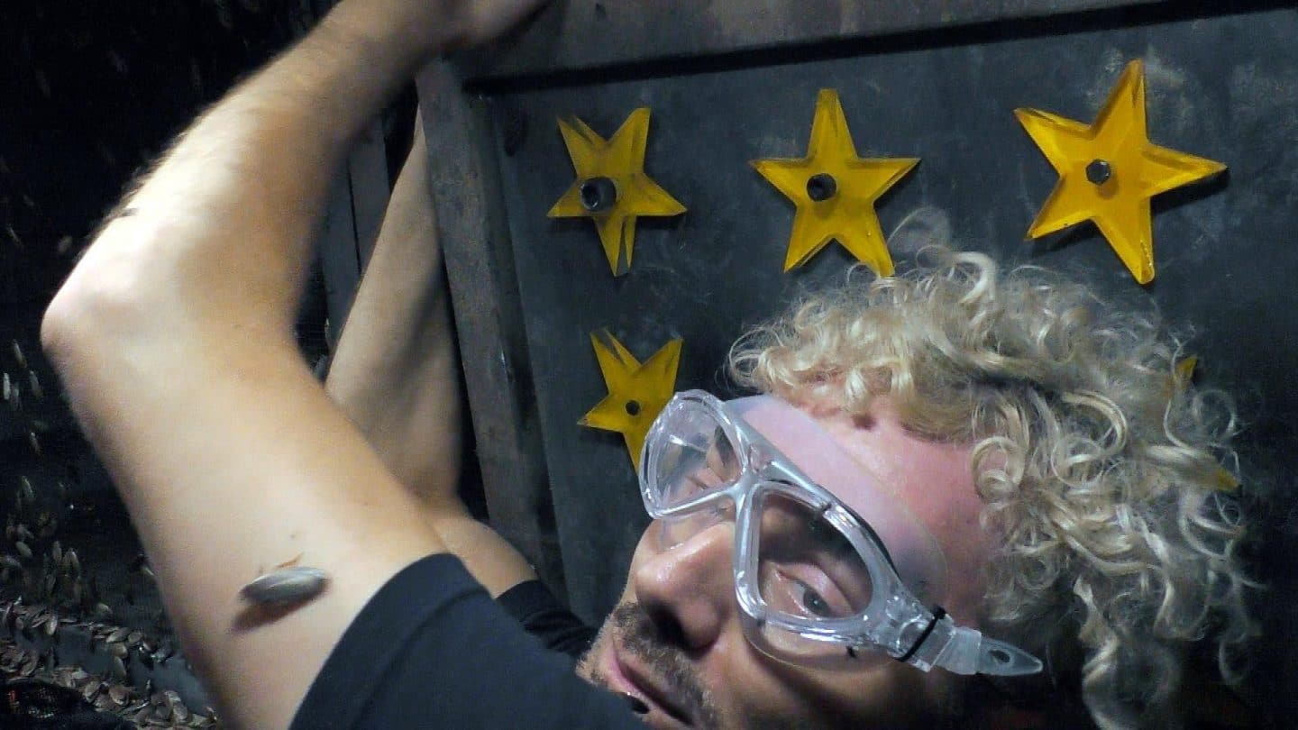 Dschungelcamp 2025 Tag 4: Emotionen kochen über – Zoff, Tränen und der große Prüfungsfluch!