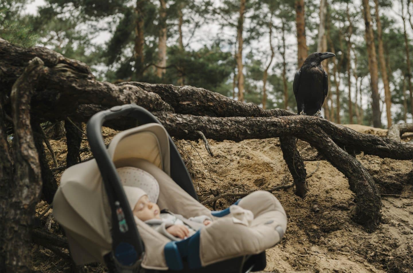 „Der Krimi aus Brandenburg“: Ein düsteres Geheimnis in „Die Raaben und das tote Mädchen“