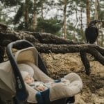 Liam in einer Babyschale liegt auf sandigem Waldboden, umgeben von Wurzeln und Ästen. Im Hintergrund sitzt ein Rabe auf einem knorrigen Ast, während ein dichter Kiefernwald die Szenerie umgibt. Die düstere Atmosphäre und das Zusammenspiel von Natur und Symbolik vermitteln eine mystische und geheimnisvolle Stimmung.
