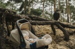 Liam in einer Babyschale liegt auf sandigem Waldboden, umgeben von Wurzeln und Ästen. Im Hintergrund sitzt ein Rabe auf einem knorrigen Ast, während ein dichter Kiefernwald die Szenerie umgibt. Die düstere Atmosphäre und das Zusammenspiel von Natur und Symbolik vermitteln eine mystische und geheimnisvolle Stimmung.