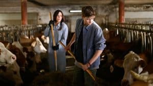 "Frühling - Das Versteck": Katja Baumann (Simone Thomalla) und Quentin König (Thilo Fridolin Matthes) misten einen Kuhstall aus.