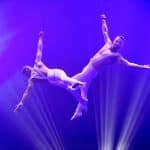 Devin & Davide präsentieren eine atemberaubende Luftakrobatik-Show an Strapaten. Beide Künstler, in weißen Kostümen, führen synchron dynamische Bewegungen in schwindelerregender Höhe aus, umgeben von intensivem lila Bühnenlicht. Strahlen im Hintergrund verstärken die Dramatik und Eleganz ihrer Darbietung.