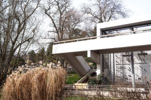 Das Schwingaffenhaus in der Wilhelma Stuttgart, ein Gebäude aus den 1970er-Jahren mit klaren Linien, großen Glasflächen und einem außenliegenden Treppenaufgang, umgeben von winterlichen Bäumen und trockenem Ziergras.