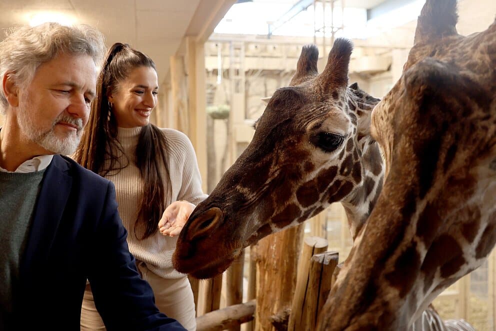Youtuberin hautnah bei Giraffen: Sally Özcan wird Ehrenpatin im Zoo Karlsruhe