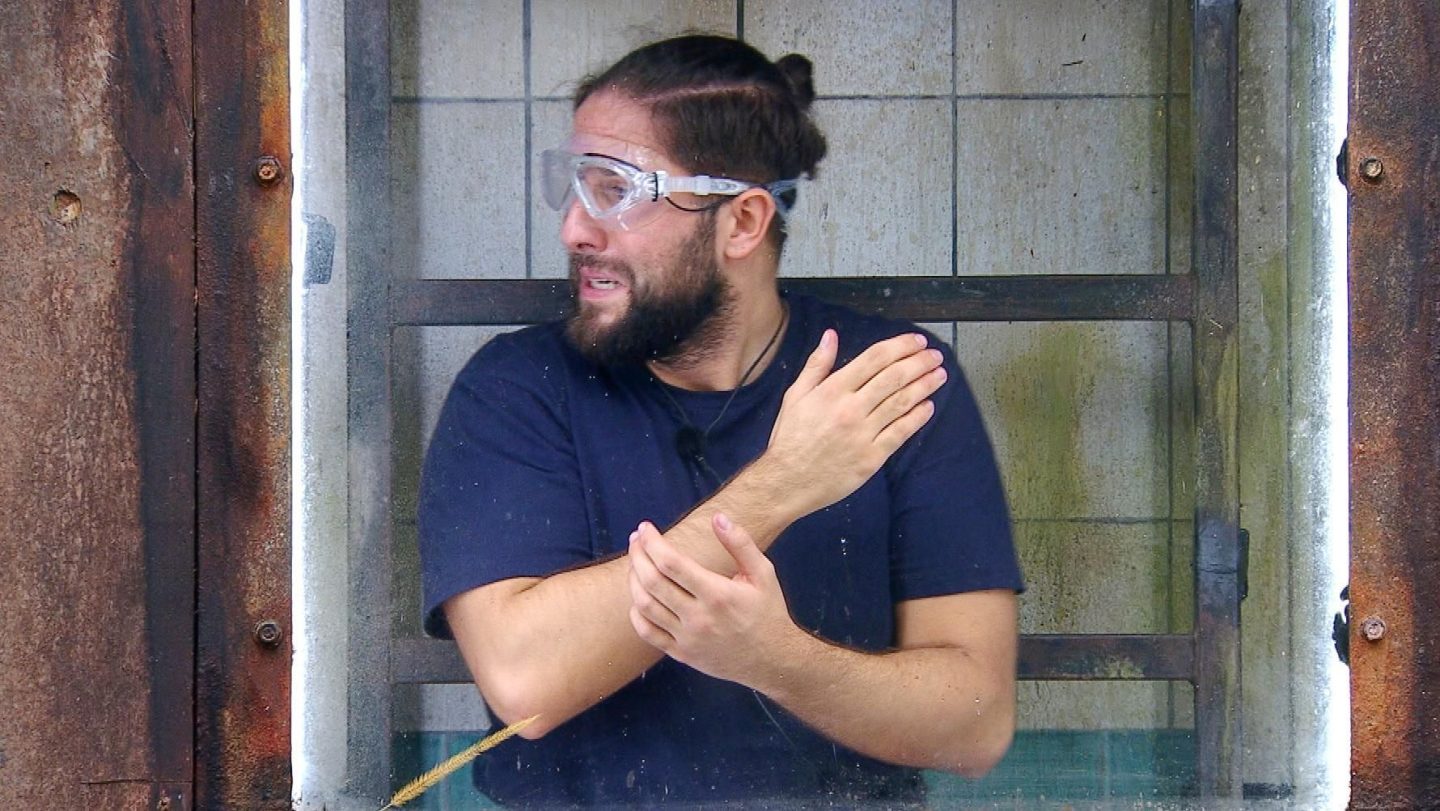 Dschungelprüfung wird zur Lachnummer – trauriger Rekord bei „Ich bin ein Star – Holt mich hier raus!“ 810B6 2