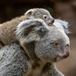 Auburn und ihre Tochter...