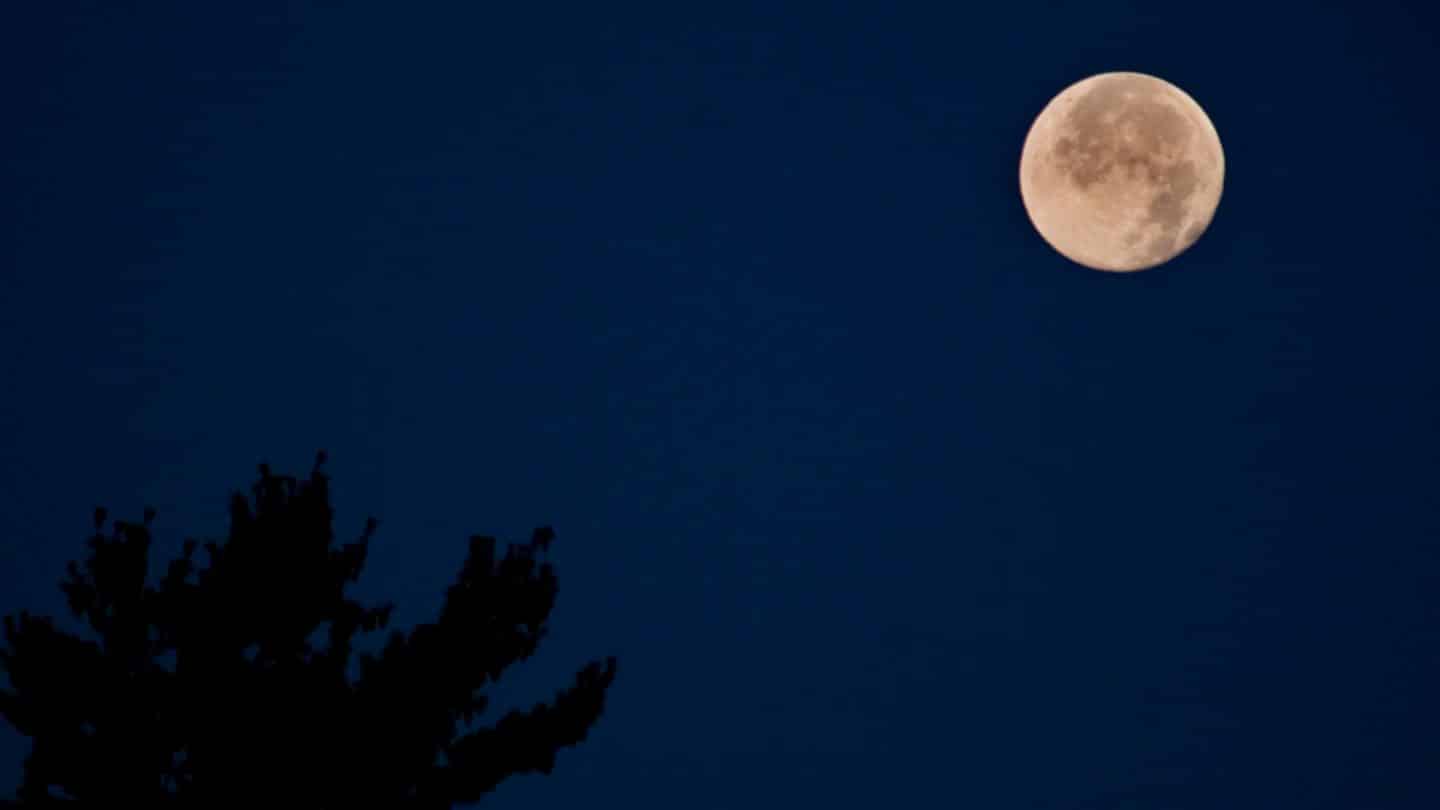 Spektakulärer Juli-Vollmond 2025: Wann der „Heumond“ besonders groß erscheint