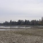 Niedrigwasser Bodensee