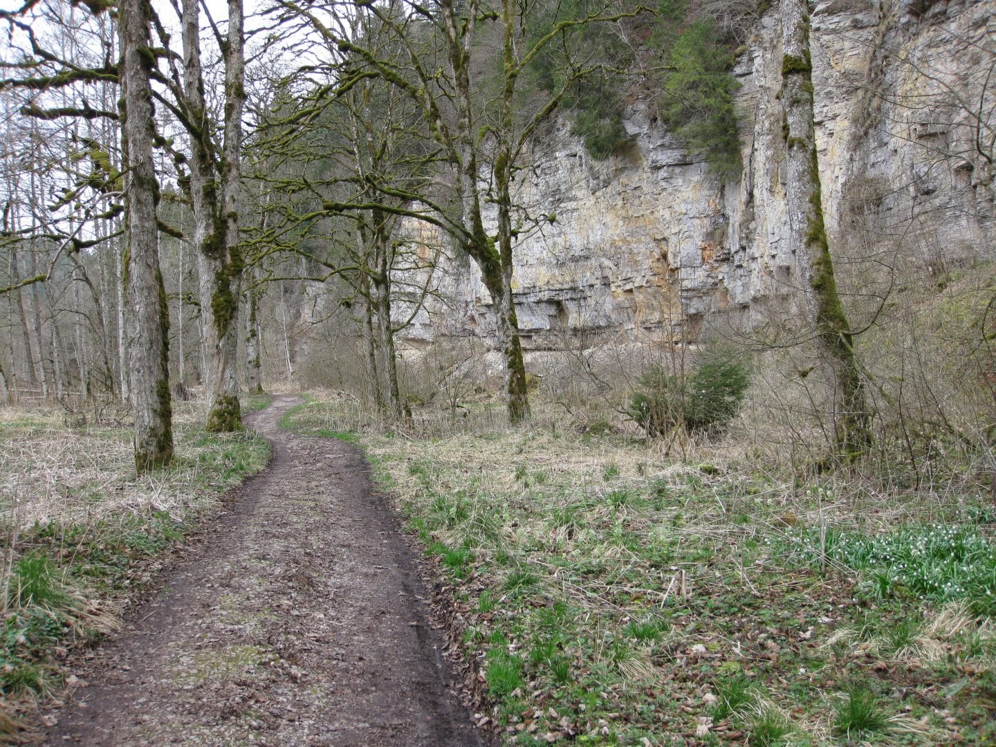 Geheimnisvolle Ruinen in der Wutachschlucht: Was ist hier im Schwarzwald bloß passiert? Englaenderallee 2 1