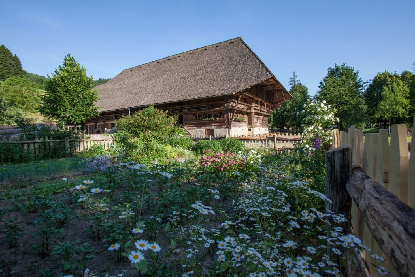 Frühlingszauber in Baden-Württemberg: 7 traumhafte Ausflugsziele 2025! Falkenhof Foto Schwarzwaelder Freilichtmuseum Vogtsbauernhof