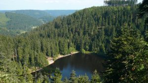 Glaswaldsee von der Lettstädter Höhe