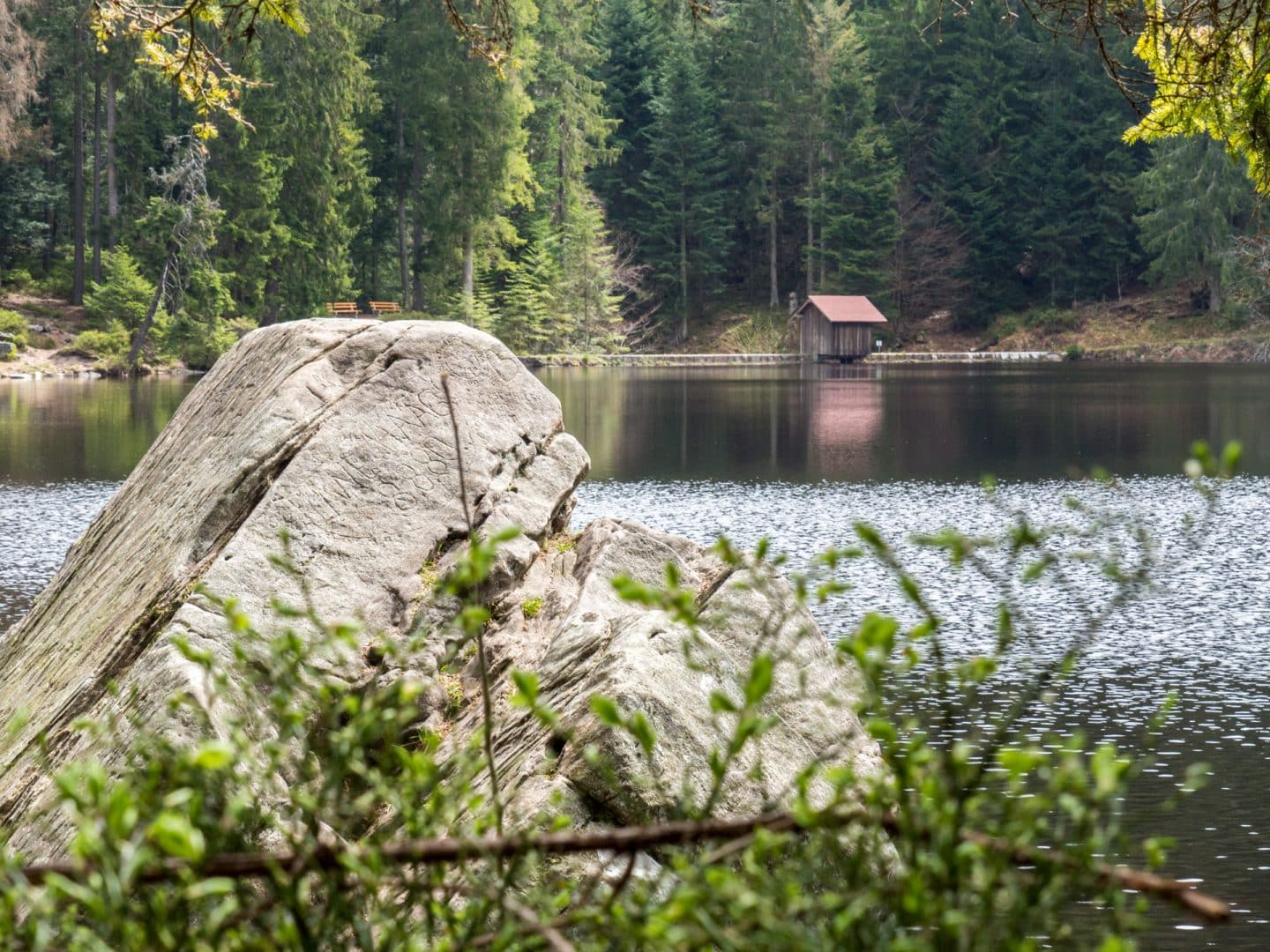 Glaswaldsee mit Staumauer vom jenseitigen Ufer

