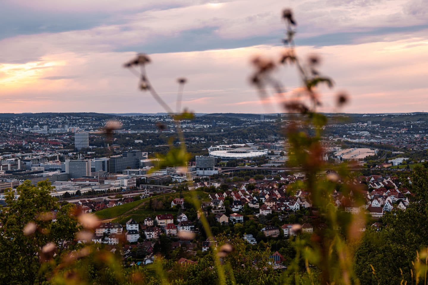 Wo Baden-Württembergs Städte wachsen – und wo nicht! So hat sich der Südwesten verändert InstaWalk Wein 2023 056 c SMG Sarah Schmid
