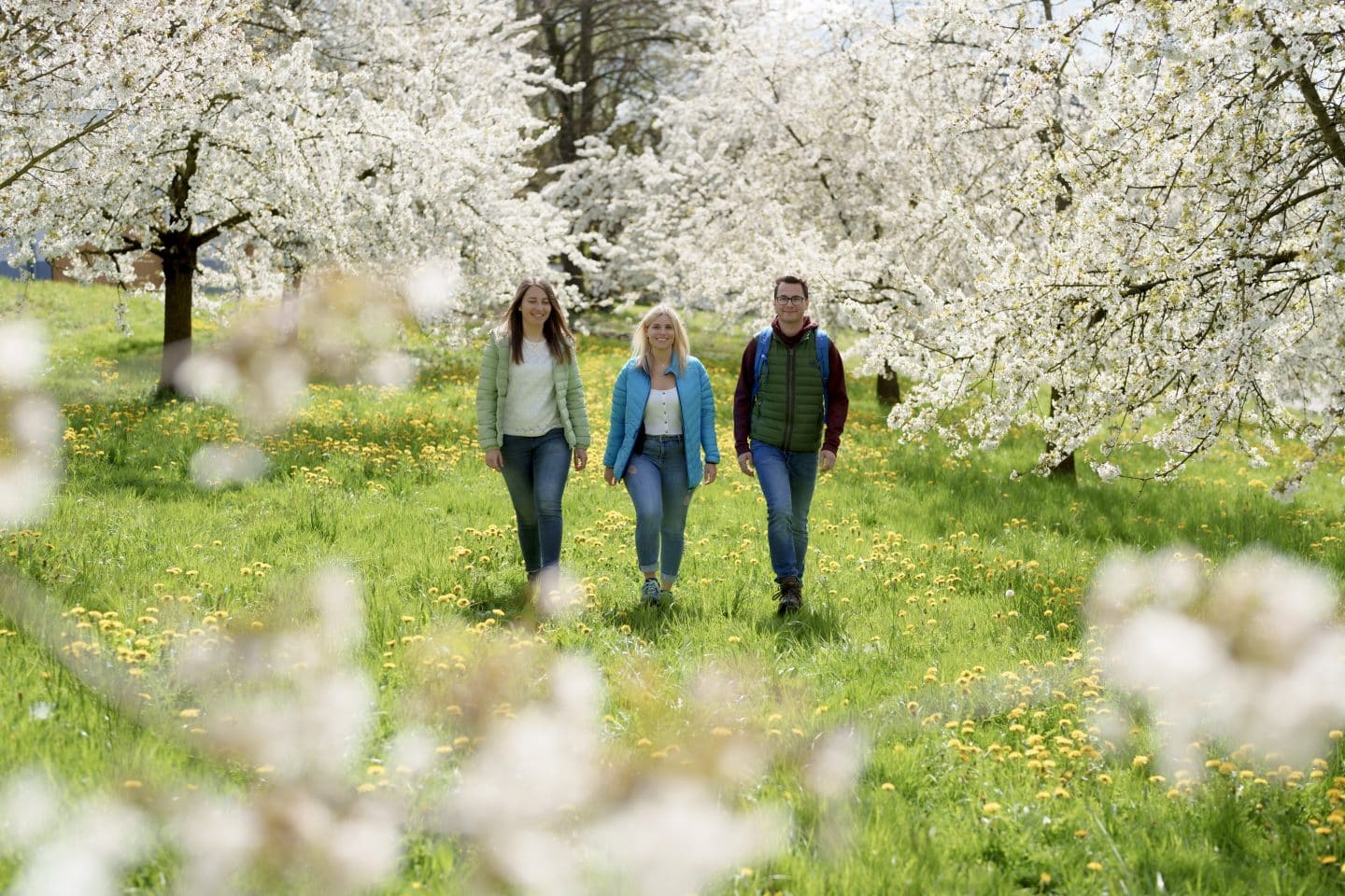 Blütenwanderung im Renchtal bei Oberkirch.
