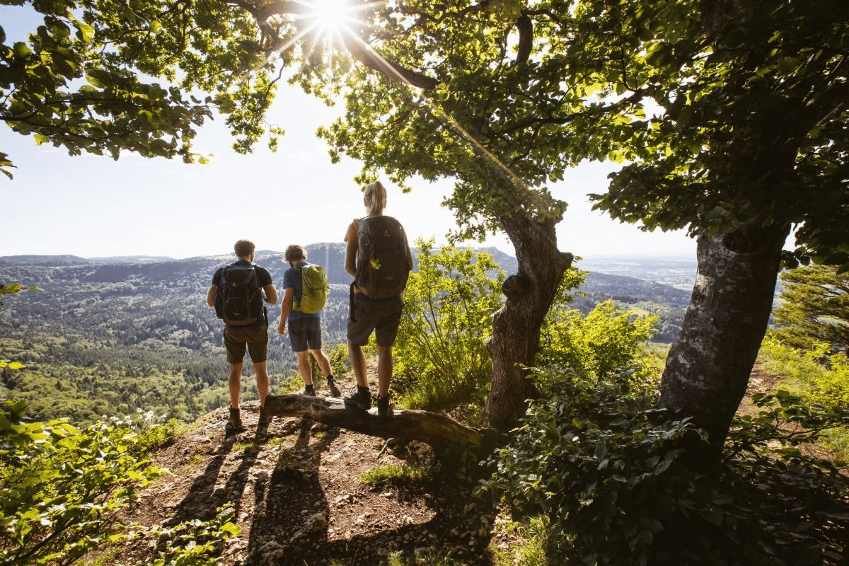 Auf dem Gräbelesberg am Traufgang Hossinger Leiter

