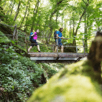 Wanderer laufen übner eine Brücke im Wald