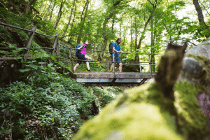 Wanderer laufen übner eine Brücke im Wald