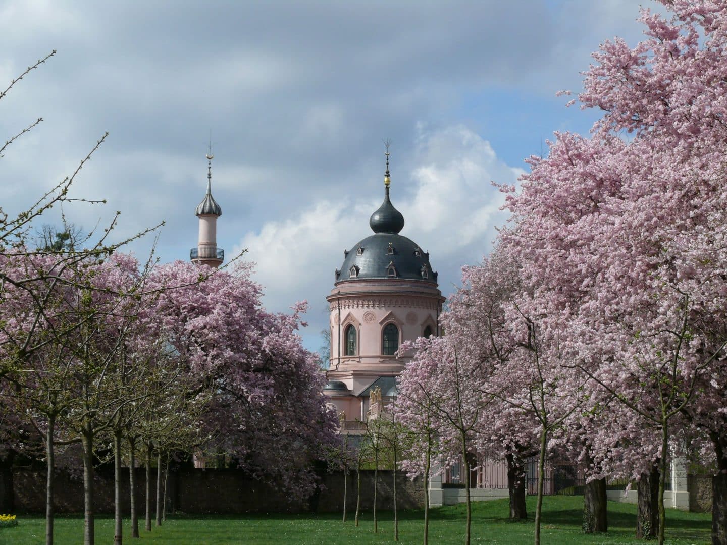 Moschee mit Kirschbäumen im Frühling
