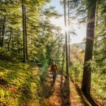 Deutschlands schönster Wanderweg 2025: Baden-Württemberg dominiert – 8 Routen im Rennen!