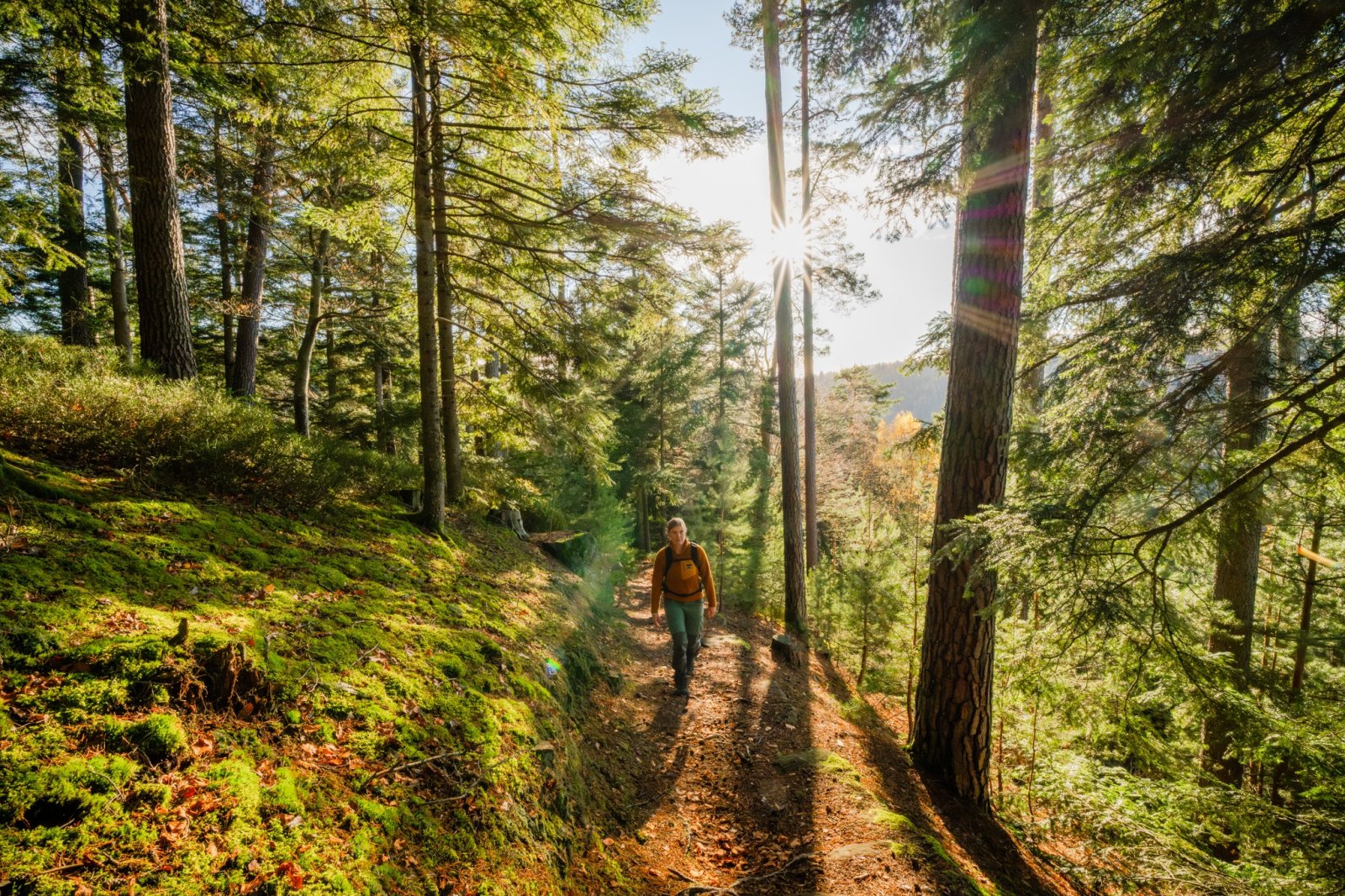 Deutschlands schönster Wanderweg 2025: Baden-Württemberg dominiert – 8 Routen im Rennen!