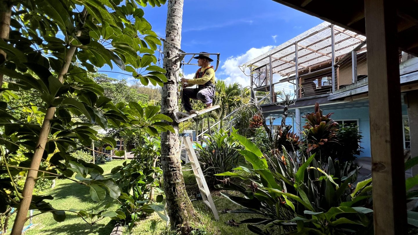 Neue Folge „Willkommen bei den Reimanns“: Tattoo-Schmerz und Palmen-Drama 1767807