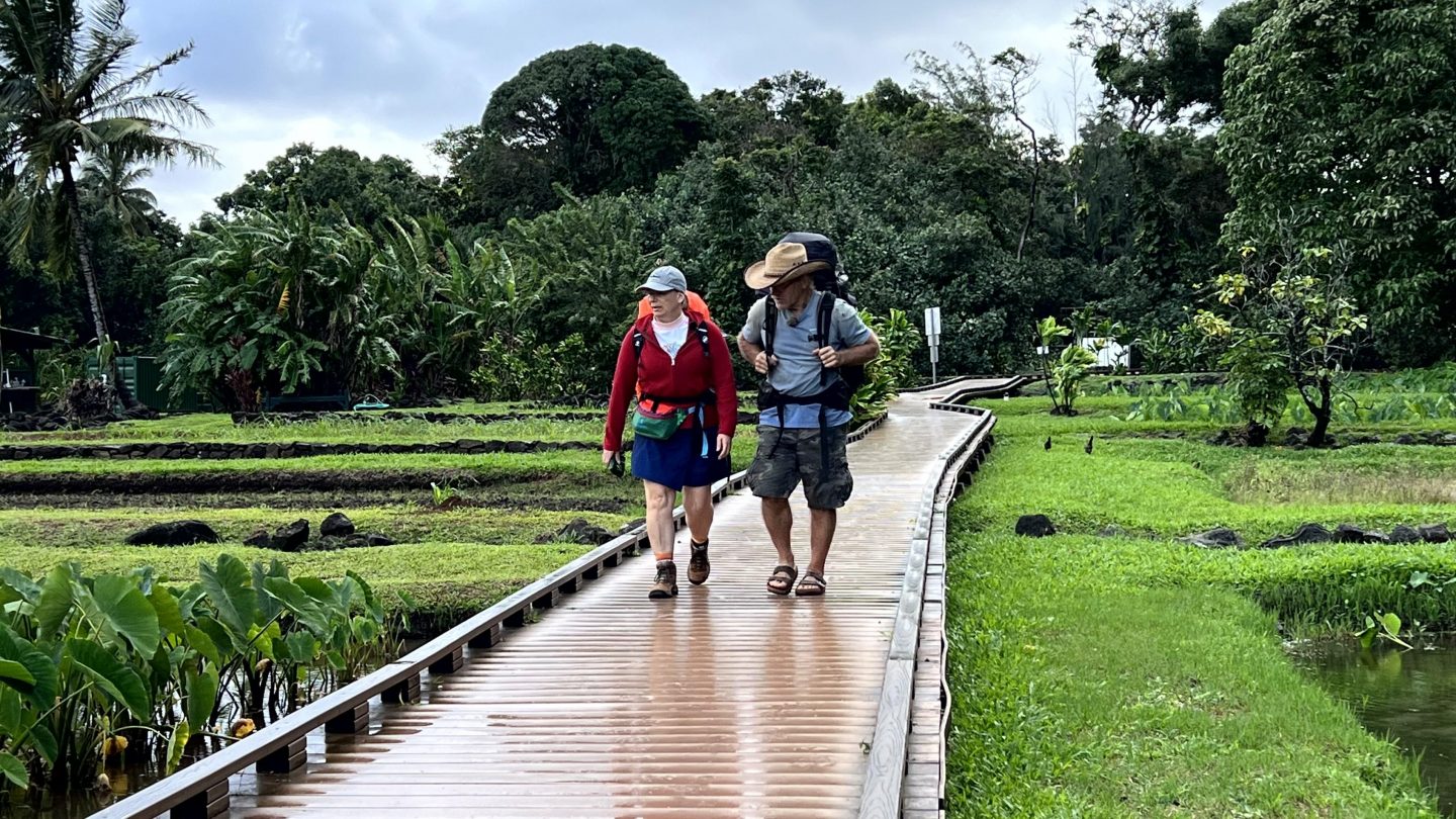 Neue Folge „Willkommen bei den Reimanns“: Tattoo-Schmerz und Palmen-Drama 1767814