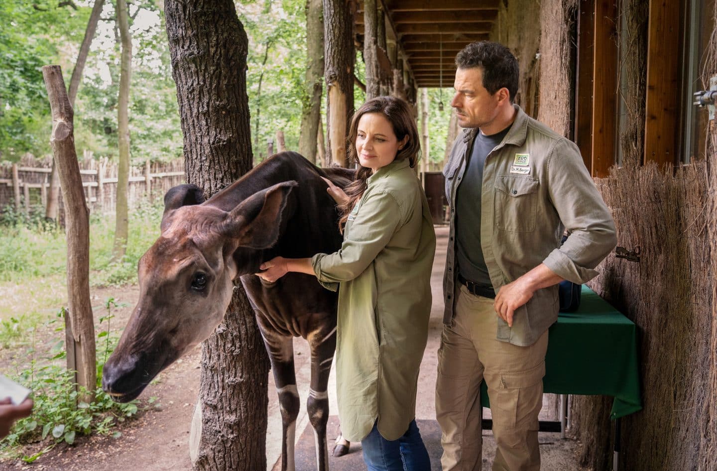 Heute bei „Dr. Mertens“: Drama – Mike bricht zusammen & Matteos dunkles Geheimnis