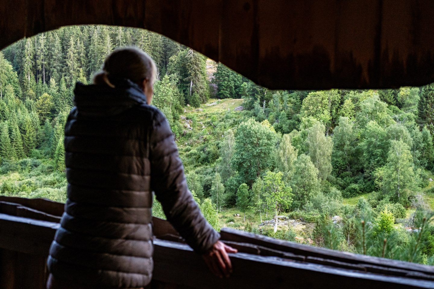 Tierische Abenteuer für Ostern bei Nacht: 5 besondere Nacht-Safaris in Baden-Württemberg 2 Aussichtspunkt bei der Rotwildpirsch