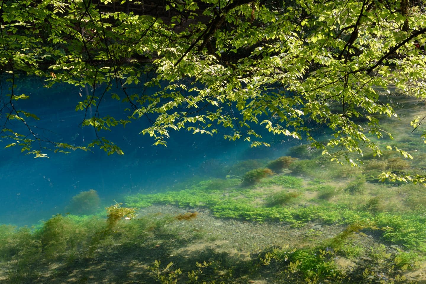 Sind wir wirklich noch in Baden-Württemberg? Unglaubliche Fernweh-Orte direkt vor der Haustür Blaubeuren Blautopf 20180804 02