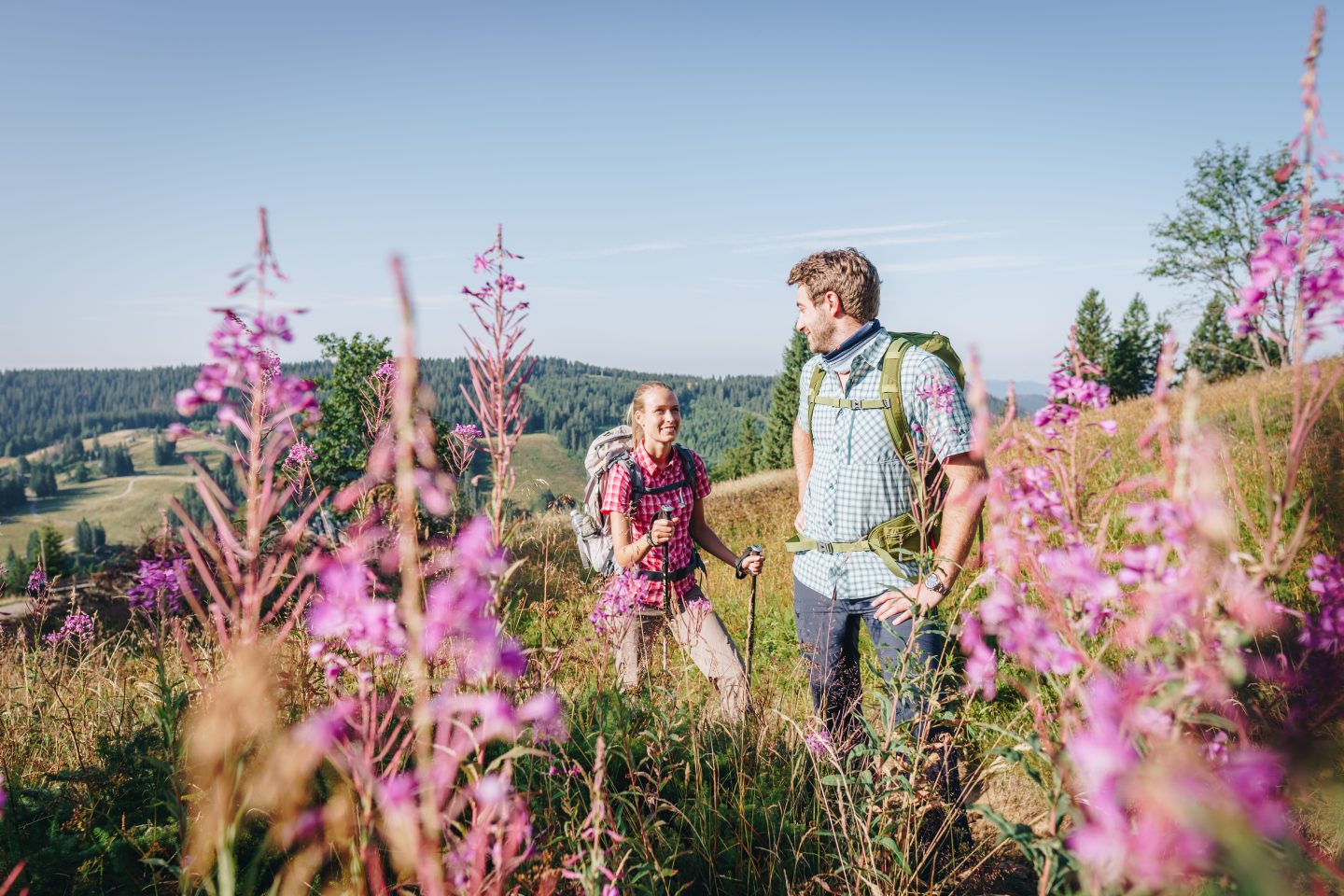 125 Jahre „Westweg“ im Schwarzwald: Wanderevents, Gewinnspiel & Max Mutzke zum Jubiläum Feldberg Wandern 2 %C2%A9 Chris Keller Schwarzwald Tourismus