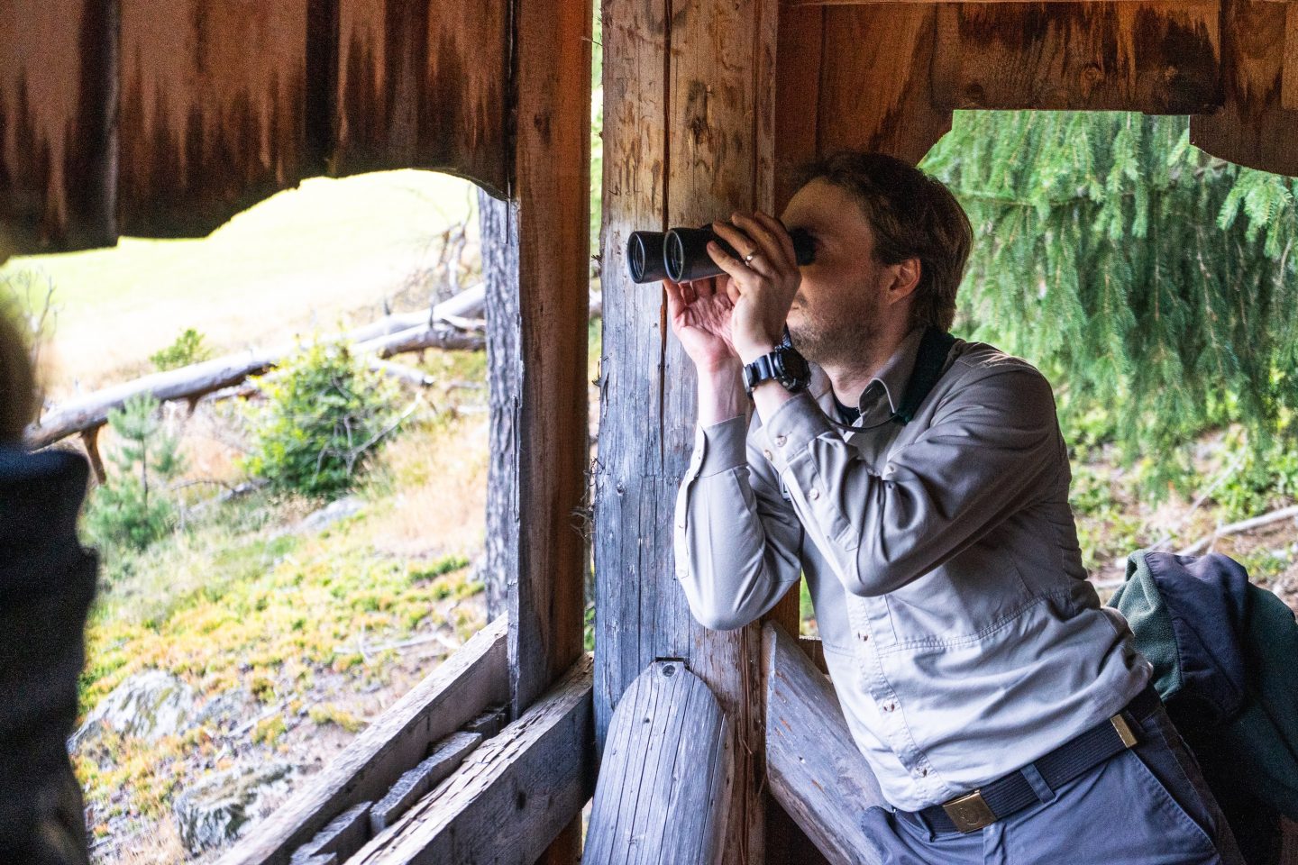 Tierische Abenteuer für Ostern bei Nacht: 5 besondere Nacht-Safaris in Baden-Württemberg
