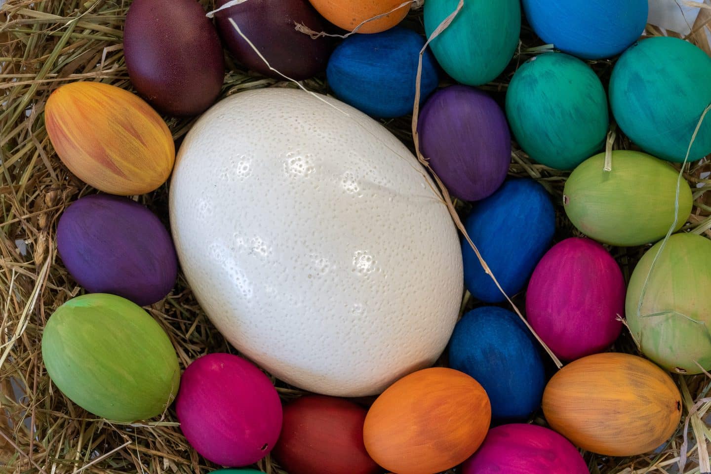 Ostertipp: In der Wilhelma dreht sich alles „Rund ums Ei“ & Oster-Bilby