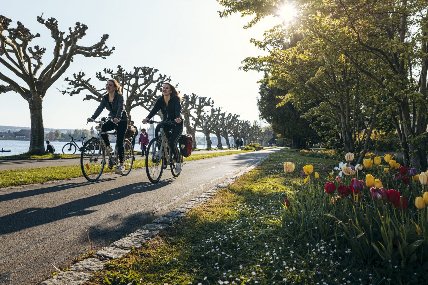 Radeln mit Aussicht: Warum Konstanz der perfekte Ort für deine nächste Radtour ist