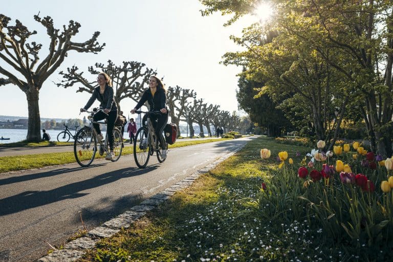 Radeln mit Aussicht: Warum Konstanz der perfekte Ort für deine nächste Radtour ist