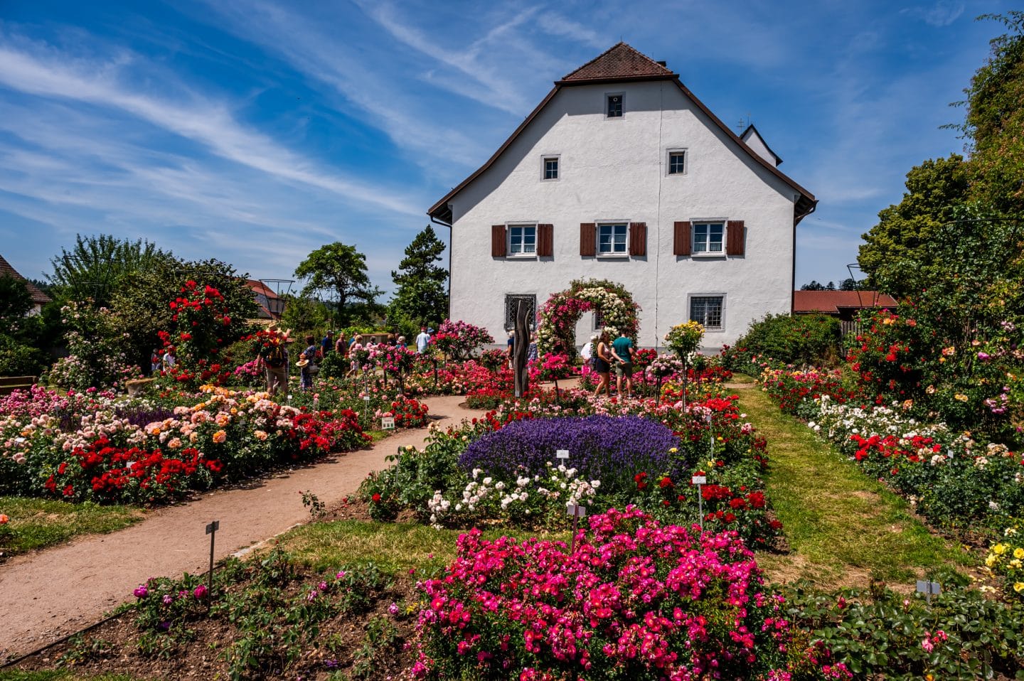 Ausflugstipps: Blütenpracht & Gartenträume –Traumhafte Gärten im Schwarzwald 1 Das Rosenfest in Weilheim-Nöggenschwiel