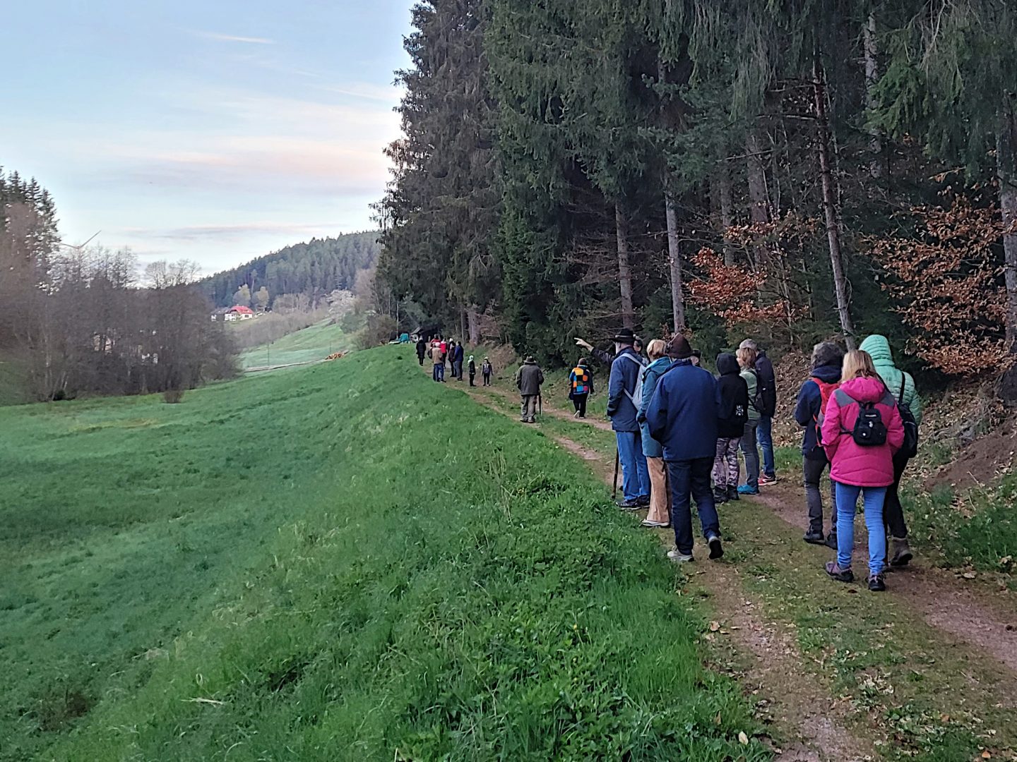 Tierische Abenteuer für Ostern bei Nacht: 5 besondere Nacht-Safaris in Baden-Württemberg 1 Tierische Abenteuer für Ostern bei Nacht: 5 besondere Nacht-Safaris in Baden-Württemberg Vogelstimmenspazierg cSarah Hujer