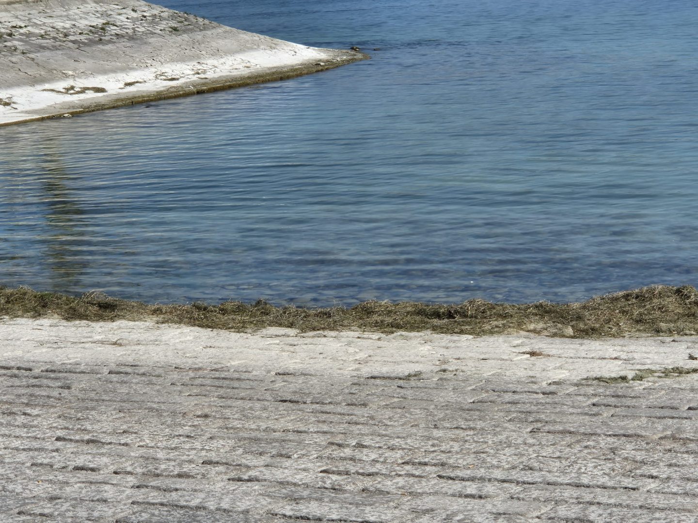 Niedrigwasser-Schock am Bodensee: Pegel auf 40-Jahres-Tief – Gestank, Algen und erste Sperrungen bodensee niedrigwasser1