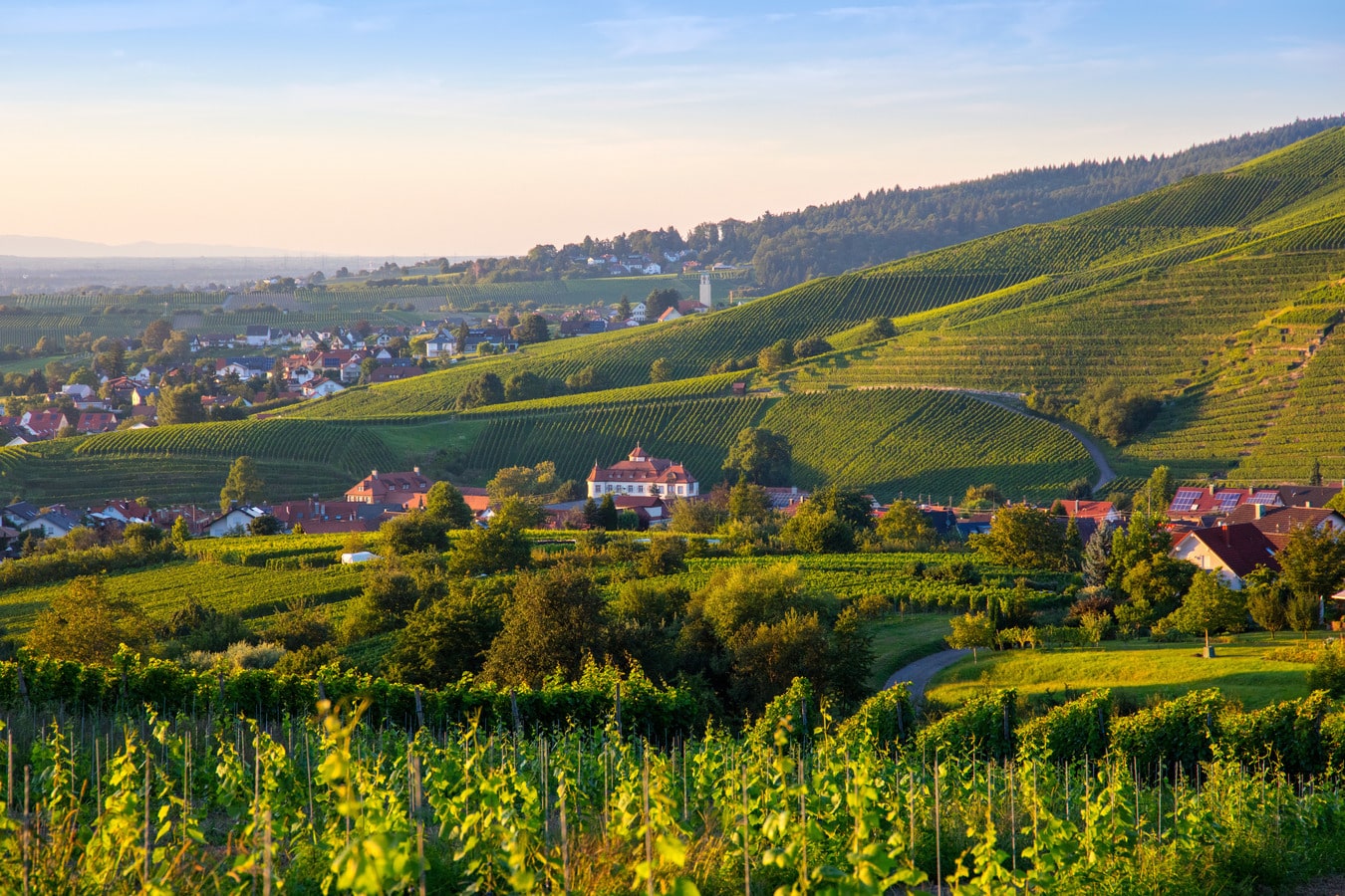 Landleben-Traum junger Leute: Studie enthüllt, was WIRKLICH zählt für die Zukunft!