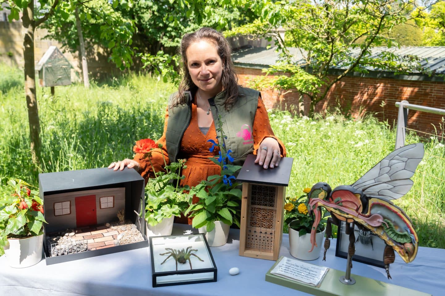 Wilhelma lädt ein: Die faszinierende Welt der Insekten hautnah erleben und schützen lernen! 2 Wilhelma lädt ein: Die faszinierende Welt der Insekten hautnah erleben und schützen lernen! KW20b Thementag Insekten Bild 1