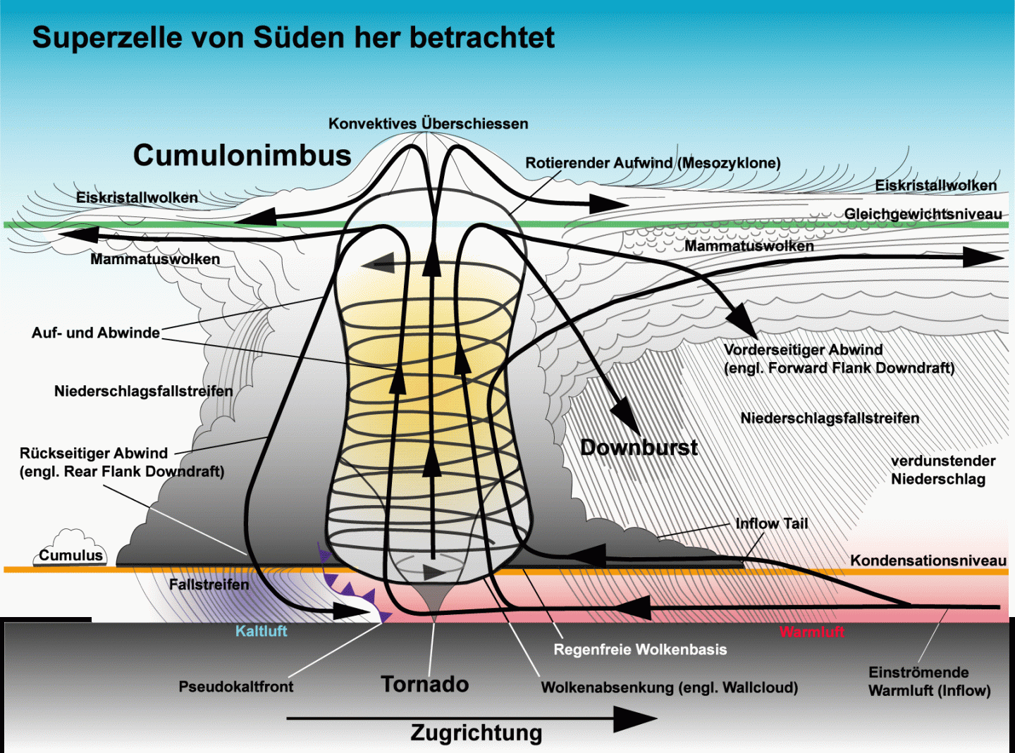 Superzellen in Deutschland! Warum diese Extrem-Gewitter besonders zerstörerisch sind Superzelle schema 1